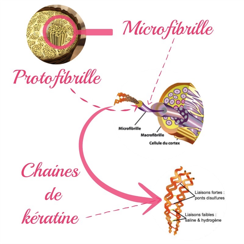 chaines de keratine